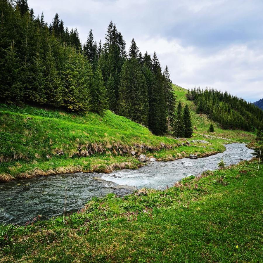 Fewo D'Rock Arosa- Center Of Nightlife By Nature Apartments Switzerland Ngoại thất bức ảnh