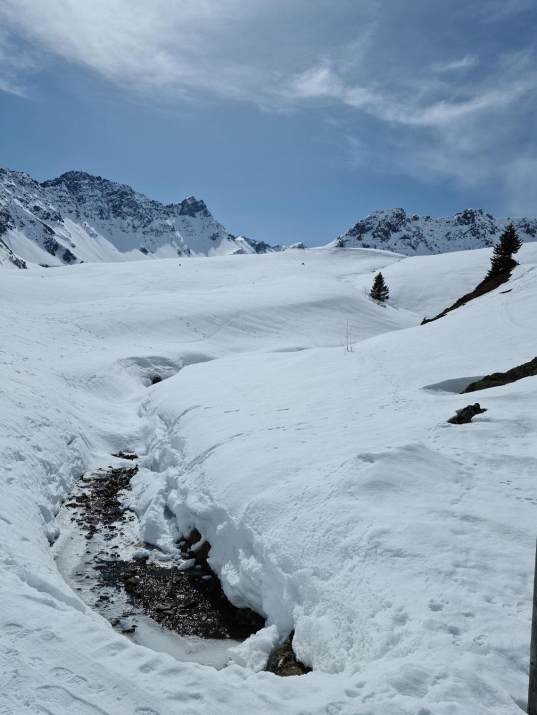Fewo D'Rock Arosa- Center Of Nightlife By Nature Apartments Switzerland Ngoại thất bức ảnh