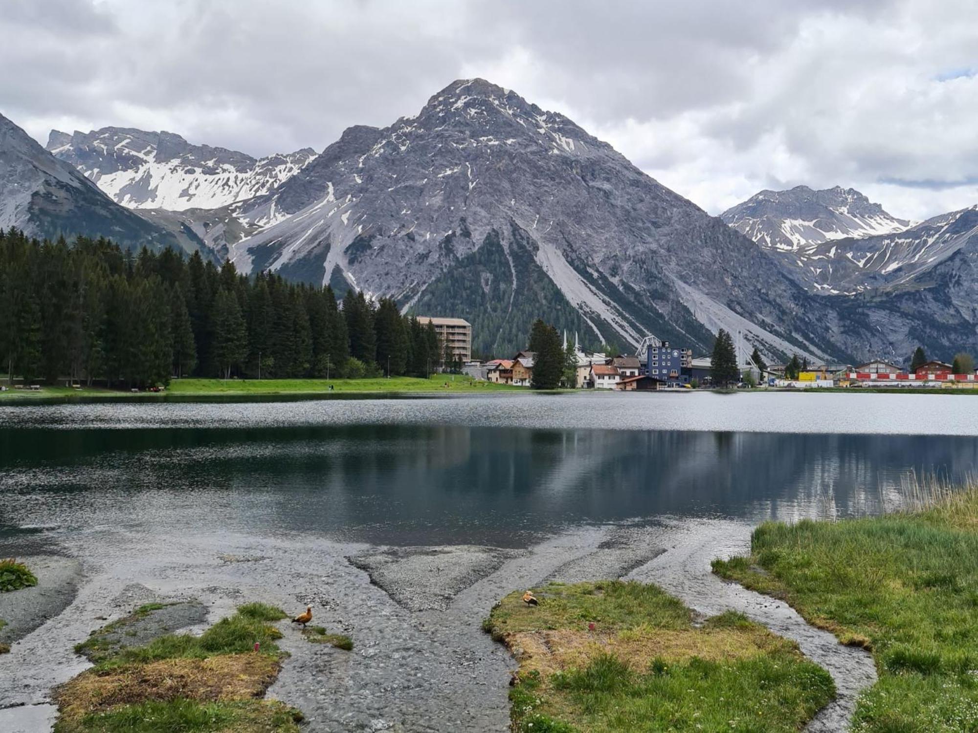 Fewo D'Rock Arosa- Center Of Nightlife By Nature Apartments Switzerland Ngoại thất bức ảnh